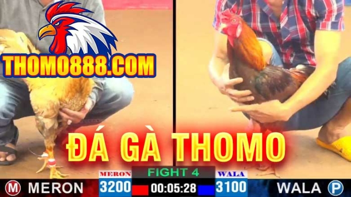 da ga thomo