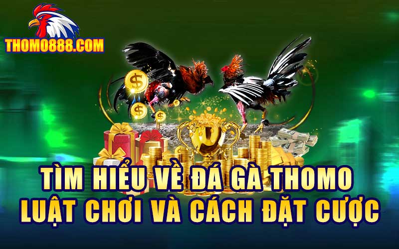 kinh nghiem choi da ga thomo luon thang tu cac cao thu 1