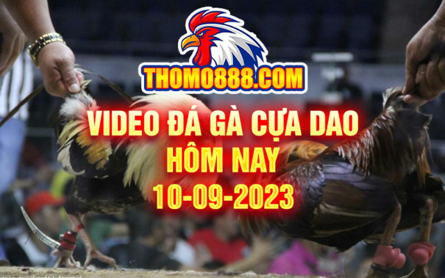 video da ga cua dao hom nay 10 09 2023