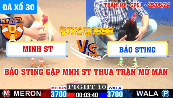 Trận 10 CPC1 Ngày 25/06/2024