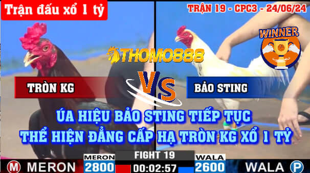 Trận 19 CPC3 Ngày 24/06/2024