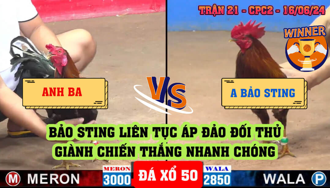 Trận 21 CPC2 Ngày 16/06/2024