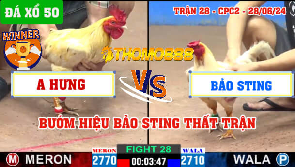 Trận 28 CPC2 Ngày 28/06/2024