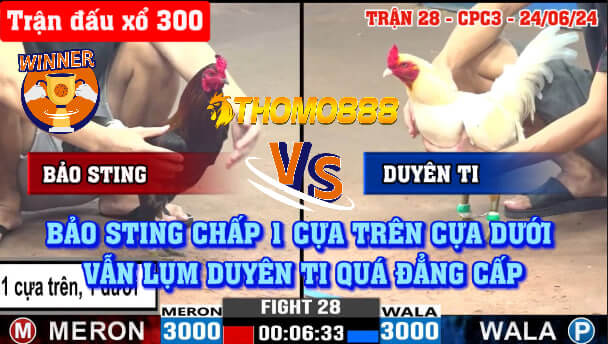 Trận 28 CPC3 Ngày 24/06/2024