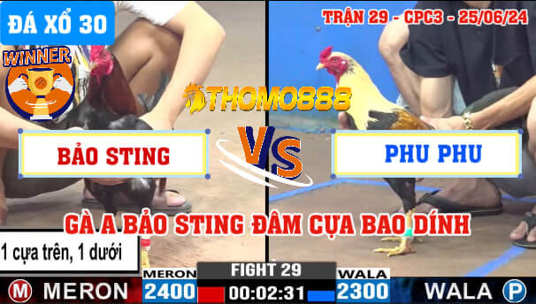 Trận 29 CPC3 Ngày 25/06/2024