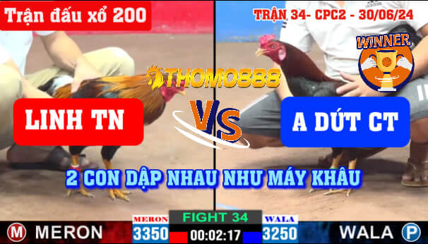 Trận 34 CPC2 Ngày 30/06/2024