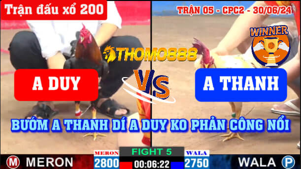 Trận 5 CPC2 Ngày 30/06/2024