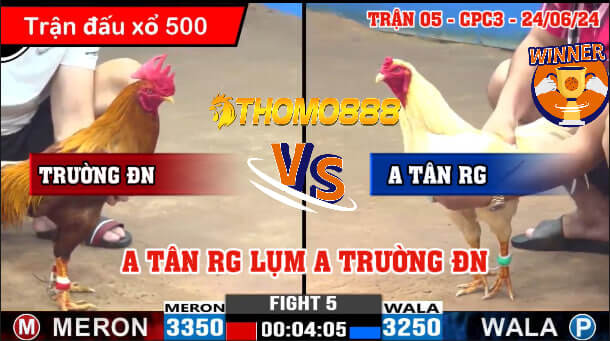 Trận 5 CPC3 Ngày 24/06/2024