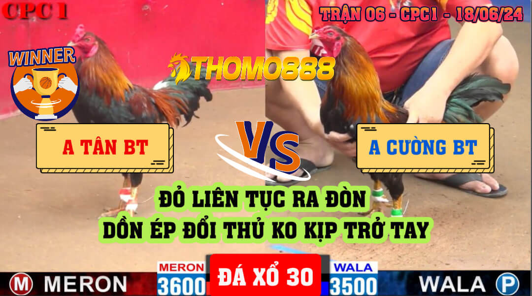 Trận 6 CPC1 Ngày 18/06/2024