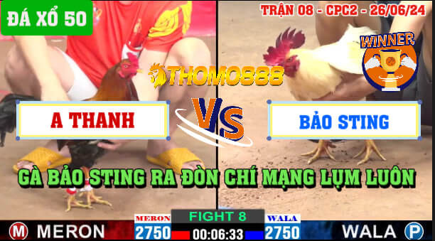 Trận 8 CPC2 Ngày 26/06/2024