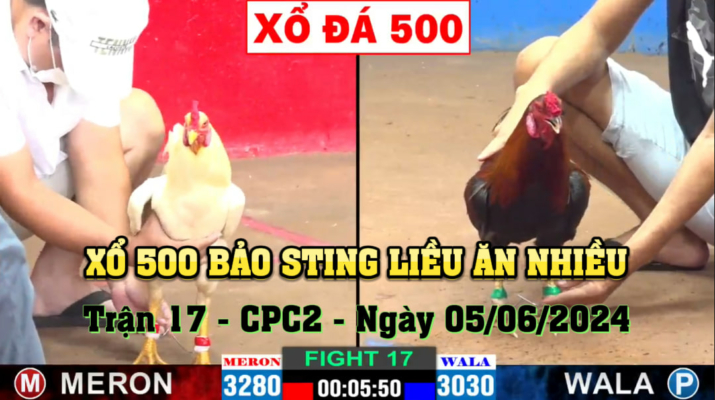 Trận 17 cpc2 a tuấn vs A Bảo Sting