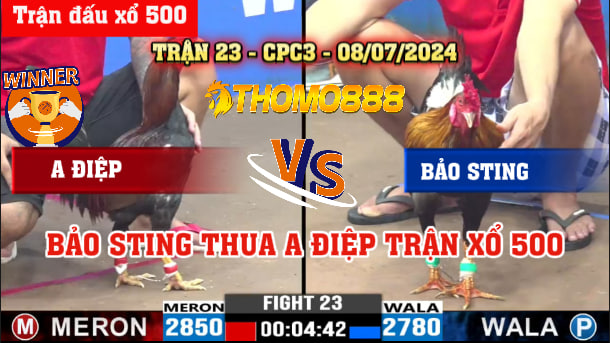 Trận 23 CPC3 Ngày 08/07/2024