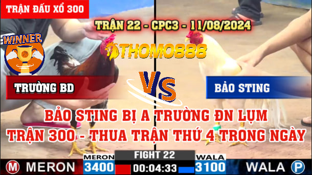 Trận 22 CPC3 Ngày 11/08/2024