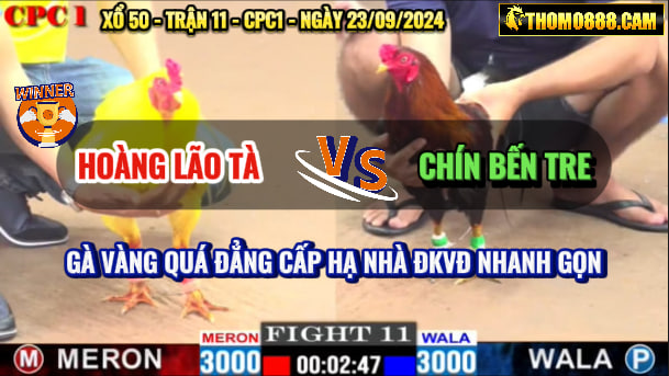 Trận 11 CPC1 Ngày 23/09/2024