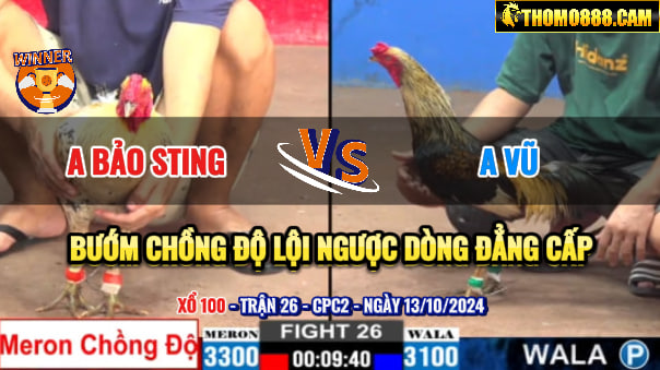 Trận 26 CPC2 13/10/2024