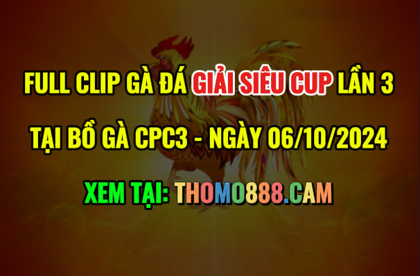 Gà Đá Giải Siêu Cup Lần 3