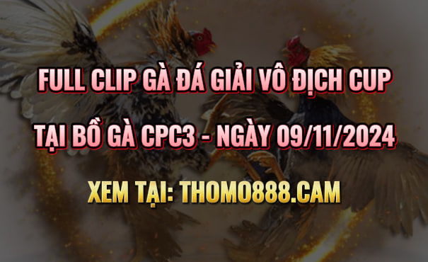 Gà Đá Giải CPC3 Ngày 09/11/2024