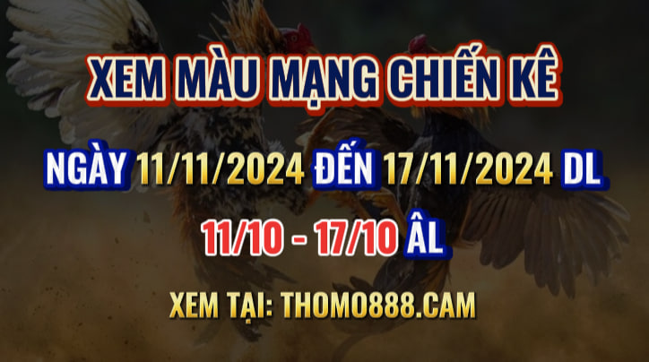 Màu Mạng Chiến Kê Ngày 11/11 Đến 17/11/2024